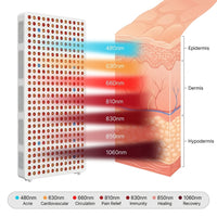Red Light Therapy Full Body Panel, 480/630/660/810/830/850/1060Nm Blue Red near Infrared Light Device with 480 Dual Chip Clinical Grade Leds, Remote Control, Timer for Face, Body, BO-2400 — How It Works